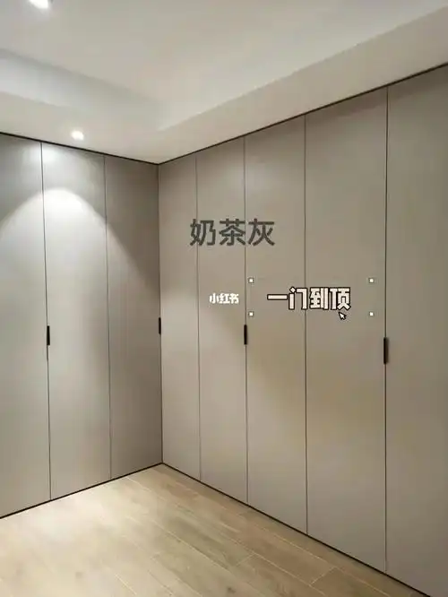 当下最流行的衣柜柜门颜色二