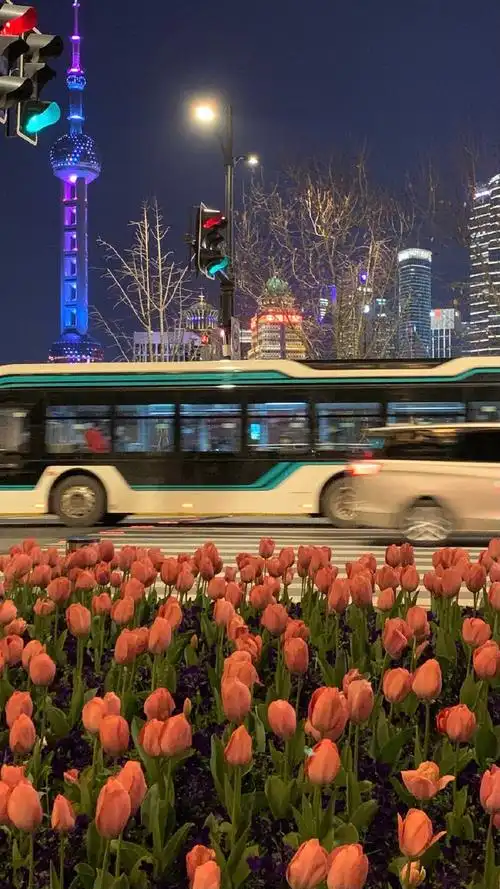 喜欢的一些ins风壁纸绝美