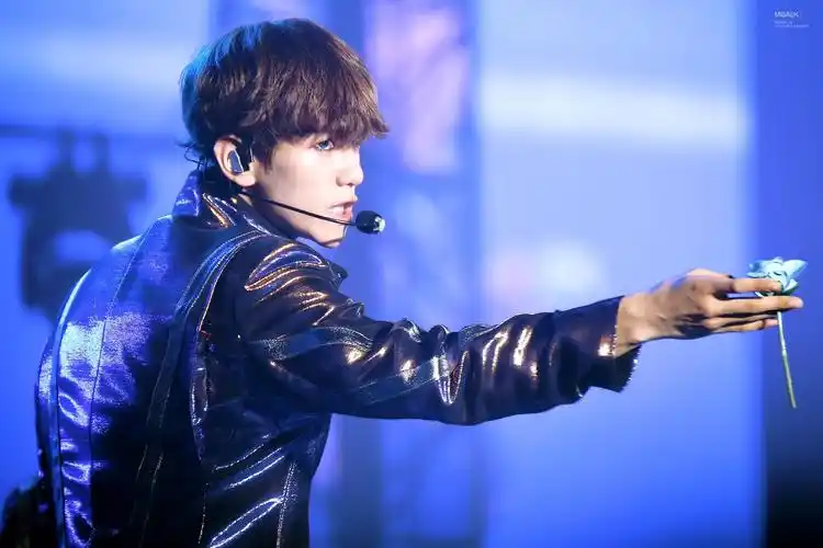 exo 全世界最好的 啵啵虎 边伯贤 baekhyun #壁纸