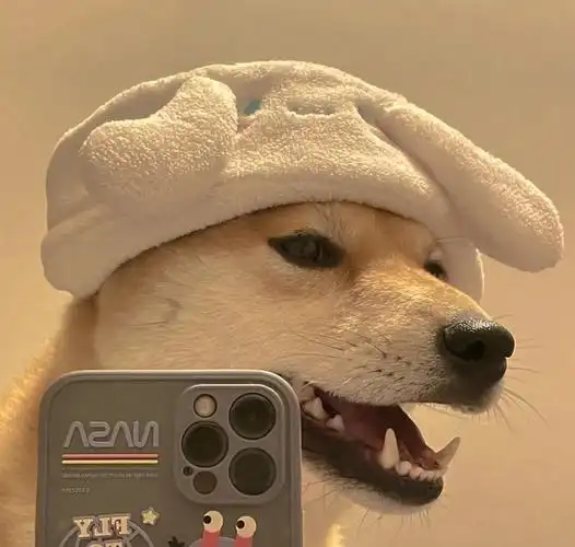 狗头头像(逗比)