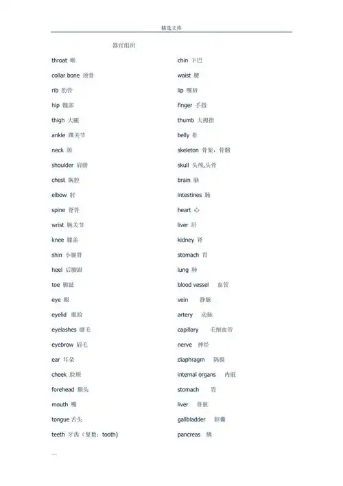人体器官英语单词