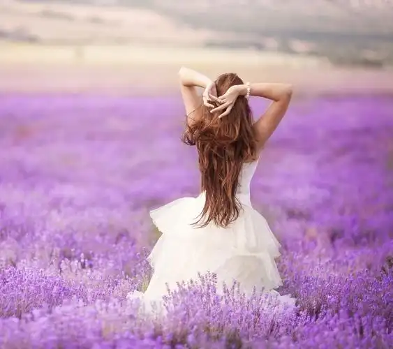 非主流,背影,薰衣草,意境,唯美,我在等待我的爱情壁纸