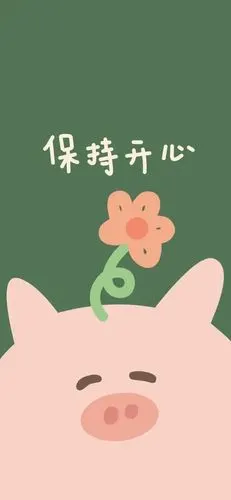 主屏 锁屏套图壁纸