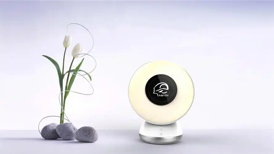 成人桌面语音智能机器人