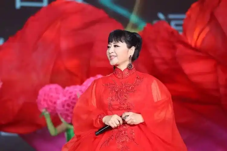 殷秀梅独唱《好一个中国大舞台》殷秀梅独唱《好一个中国大舞台》