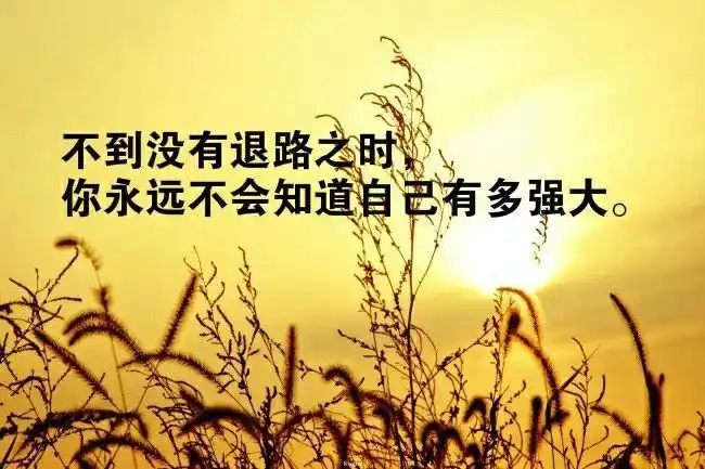 2019最新早安正能量激励经典励志语录二十九
