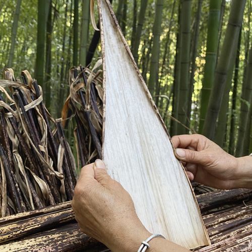 端午节用新货重庆新鲜斑竹壳寿竹壳野生粽叶端午包粽子笋壳竹笋叶干货