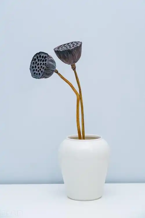 心香禅意佛系图片,唯美意境,净化心灵,静心禅语_网易订阅