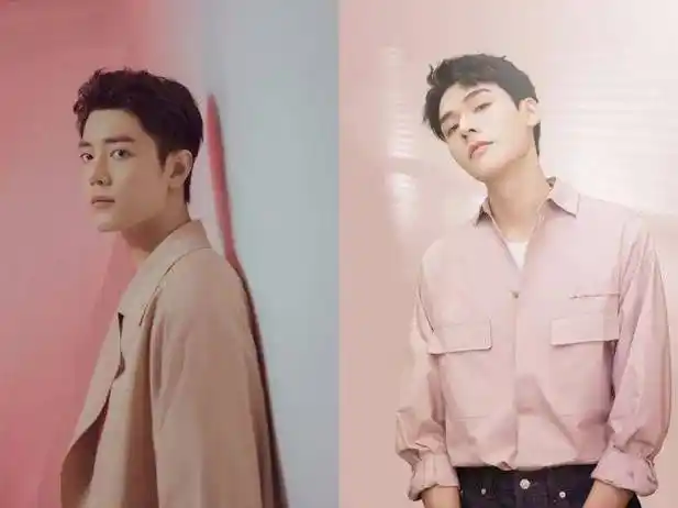 龚俊以肖战为"目标",肖战跟龚俊,谁才是新顶流_流量_方面_头衔