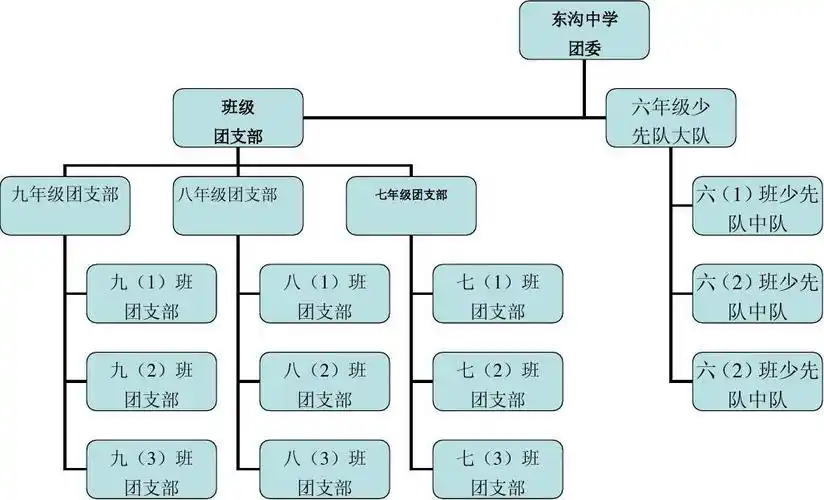 团支部机构设置图