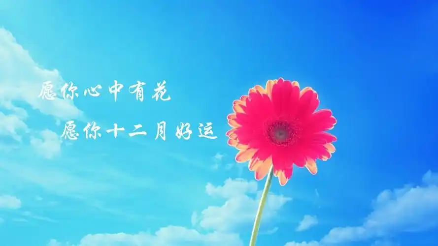 十二月好运的文字图片,高清图片,壁纸,节日-桌面城市