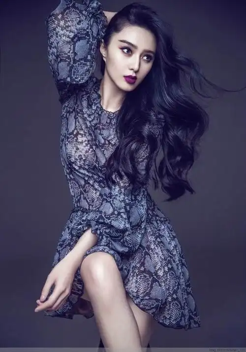 美女明星 范冰冰