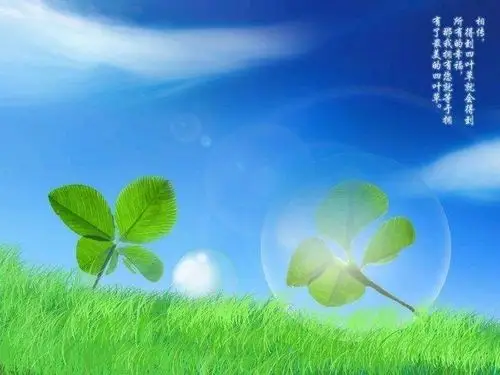 其它 《幸运草》 写美篇因得了初春的第一缕阳光