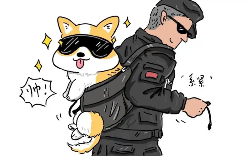 别的警犬 vs 柯基警犬