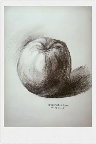 3～6年级小学生素描作业,一画工作室出品