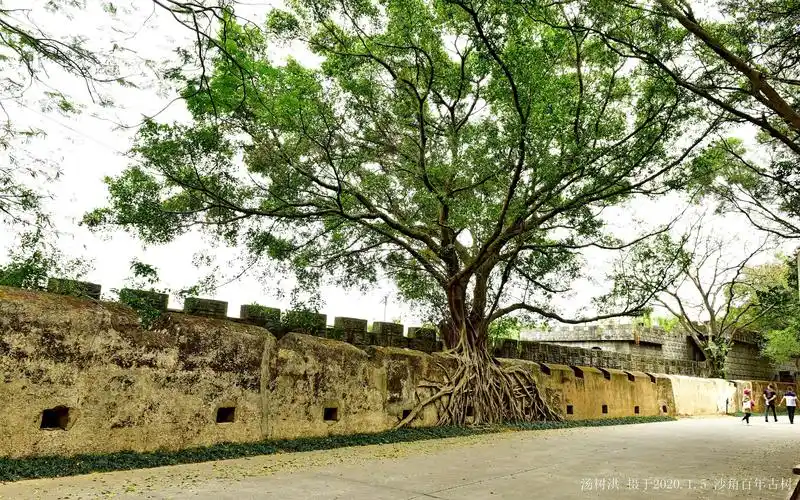 虎门沙角炮台集