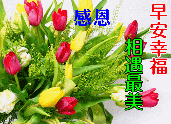 8张免打字漂亮好看的早上好动态美图鲜花带字,2021早晨好幸福暖心的