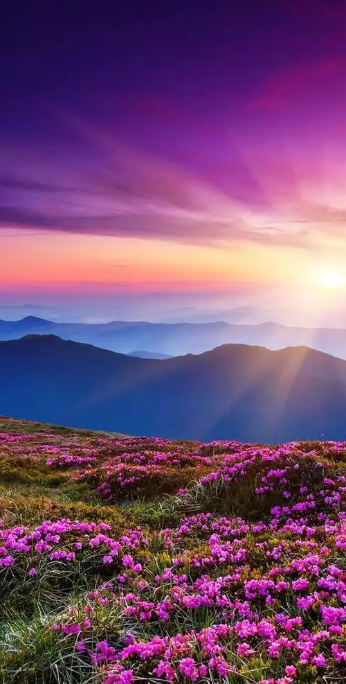 高清风景壁纸雄伟壮观极致美丽的大自然值得点赞收藏