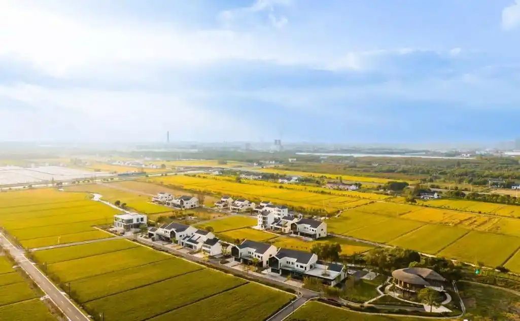 致奉贤区庄行镇广大乡贤的一封信