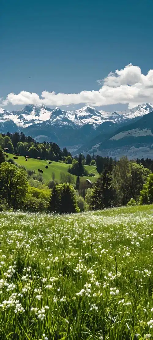 壁纸 风景 1080_2395 竖版 竖屏 手机