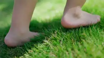 脚 脚步 脚步特写 亲子 草地上光脚行走视频素材