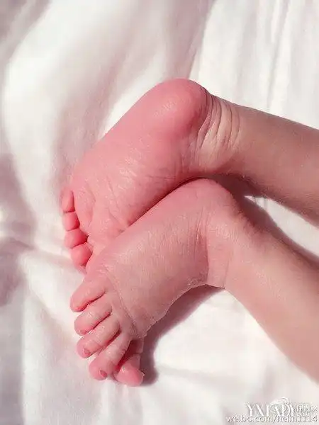 何琳宝宝小脚丫粉嫩可爱