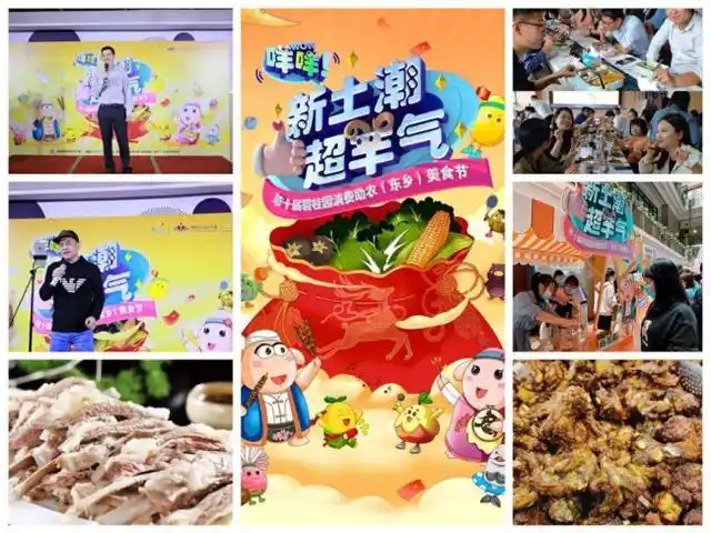 碧桂园:共建共享合作模式促进东乡羊产业大发展