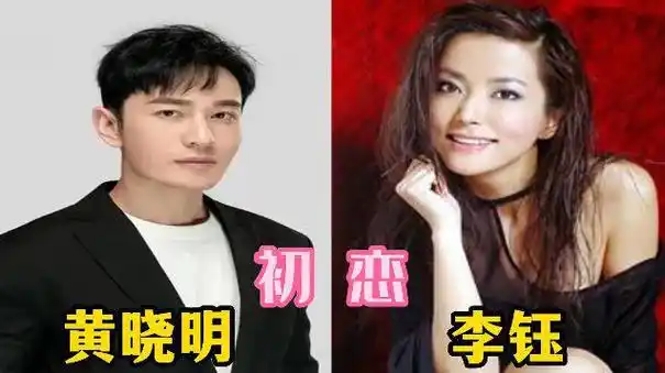 王丽坤的眼光不错|杨颖|杨幂|陈伟霆|阿sa|胡歌老婆_网易订阅