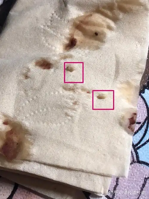 红豆汤里发现了这个,是虫子吗? - 知乎