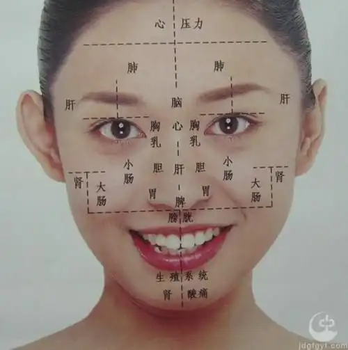 脸上的经络