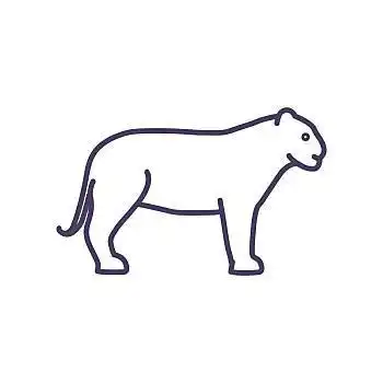 美洲狮,象征,动物,矢量,插画