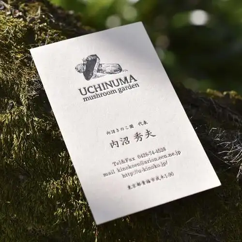 日系商务创意个性简约高档名片