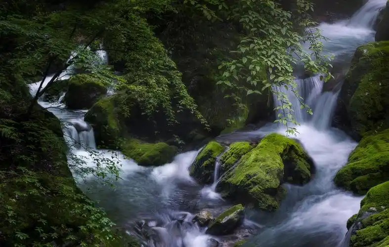 泉水溪水溪流山泉水山清水秀深山旅行    打开微信,使用"扫一扫"即可