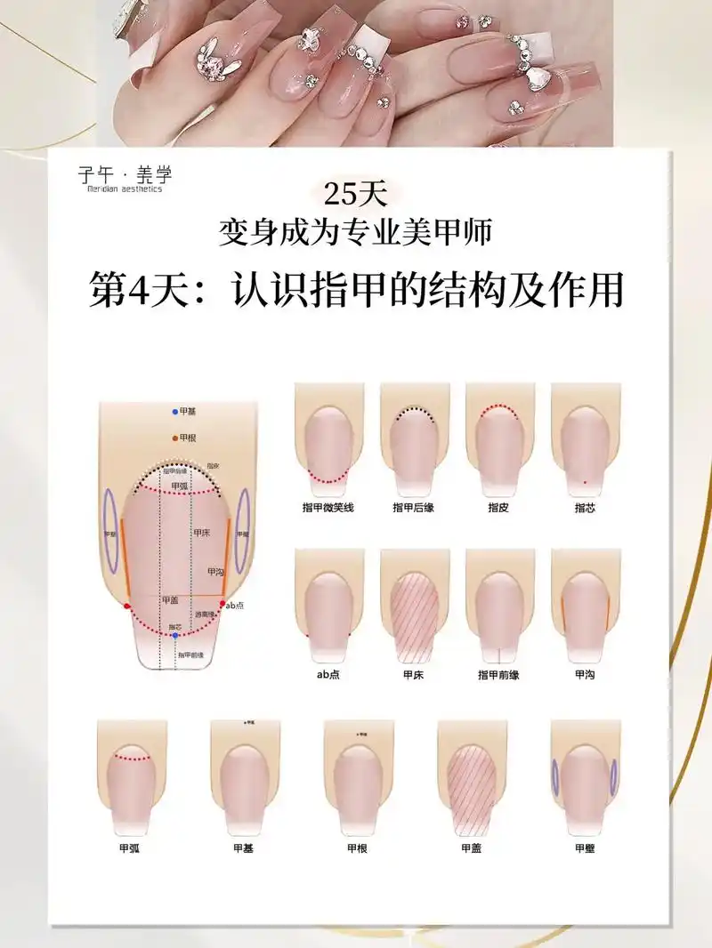 甲弧(指甲半月): 甲半月位于甲根与甲床的连接处,呈白色,半 - 抖音