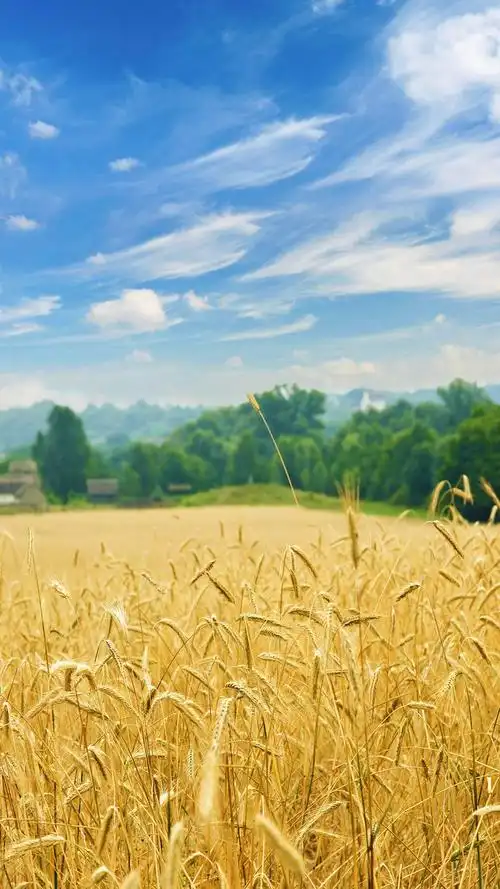 android聊天室背景图片,32张漂亮的自然风光微信7.