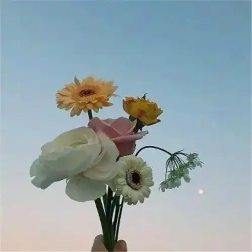 适合永久做头像的图片唯美