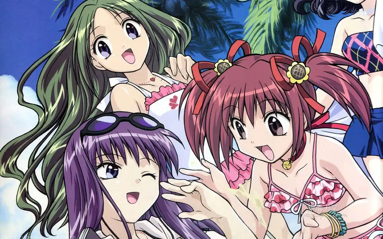 日本动漫东京猫猫美少女唯美浪漫桌面壁纸