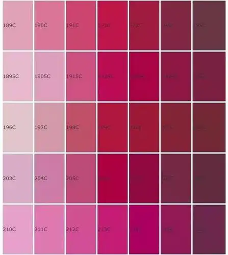 跟着设计师 andrea antoni 带着 pantone 色卡去环游世界!