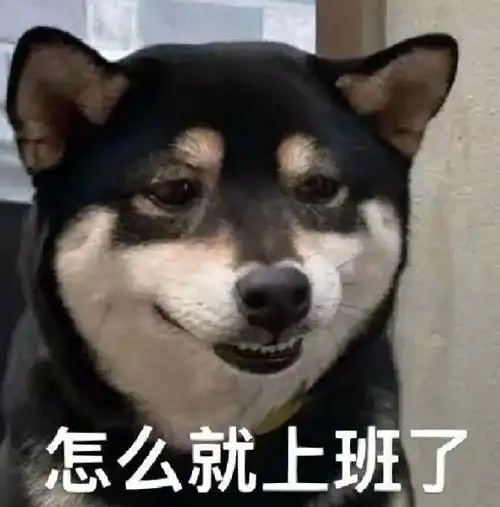 沙雕表情包:嗨 大傻杯 拿图请顺便吱一声 很难有动力发图了