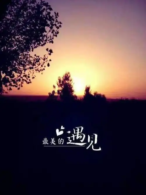 书评最美的遇见