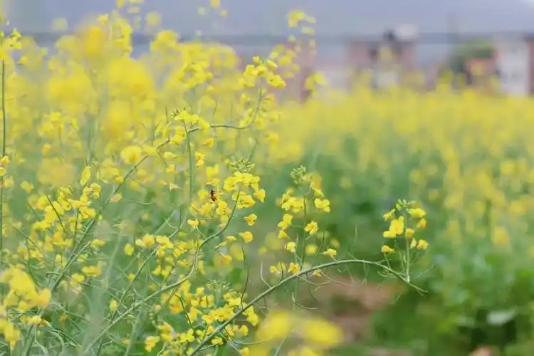 05|肇庆市_新浪财经_新浪网