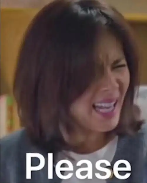 刘涛please是什么梗?安迪please在第几集?