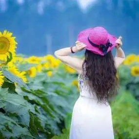 坚强的向日葵图片头像女生头像女生头像