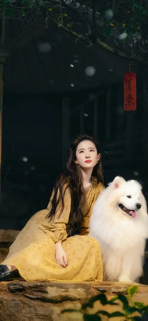 去有风的地方之刘亦菲壁纸 太爱啦__财经头条