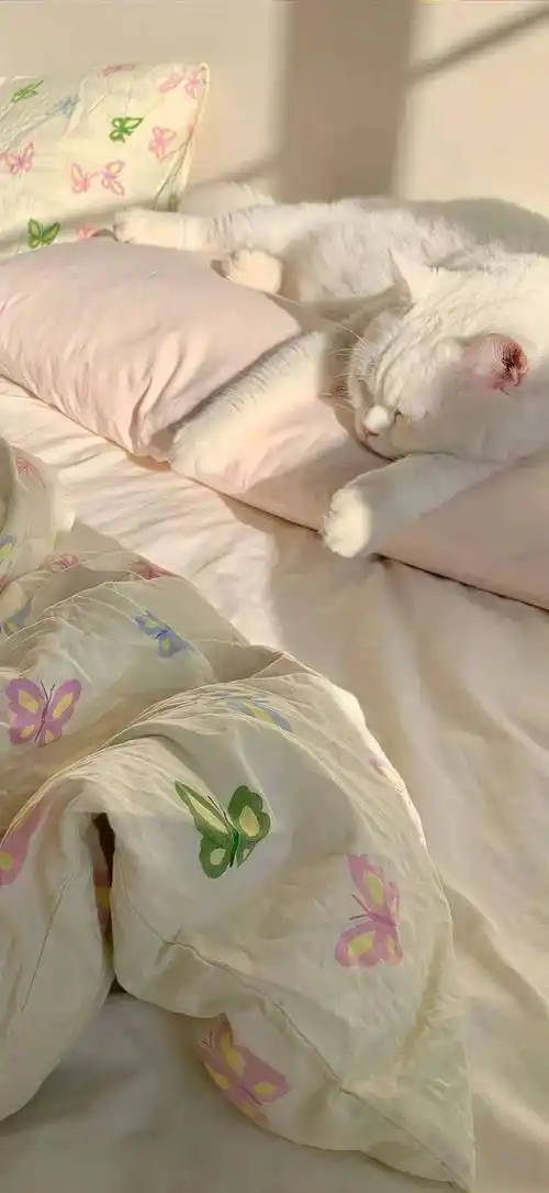 壁纸 | 超加分的高质量壁纸04 61556103