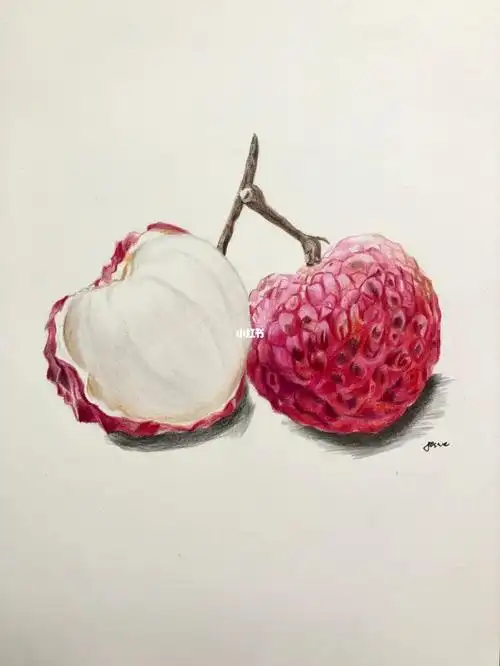 彩铅荔枝