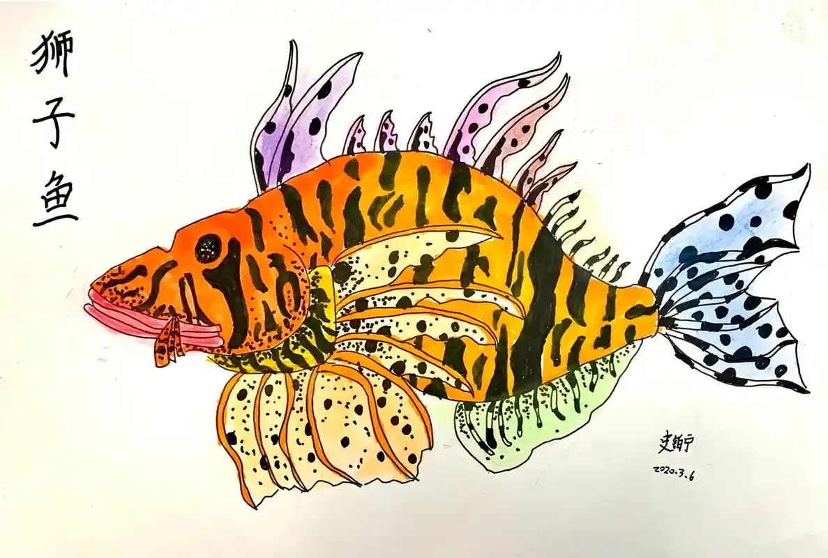 线描狮子鱼儿童美术创意美术