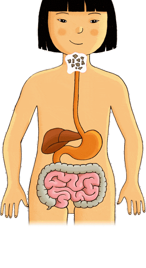 【胃肠治疗呼市哪家医院好】消化系统太"脆弱",不同的部位生病都会