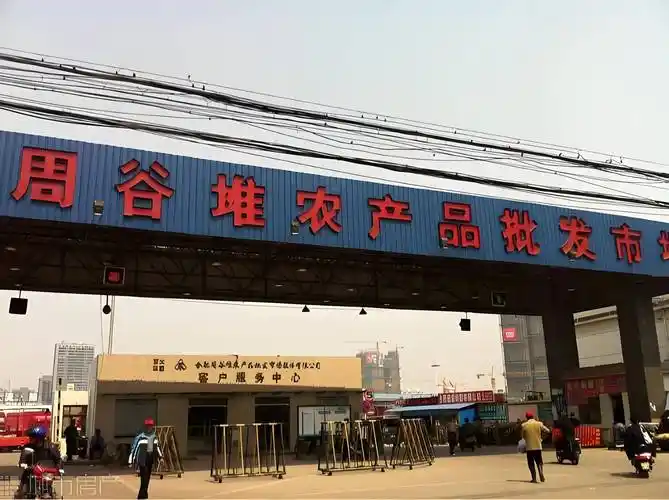 合肥农产品批发市场蔬菜价格行情走势分析:香菜,大蒜等调味蔬菜显著