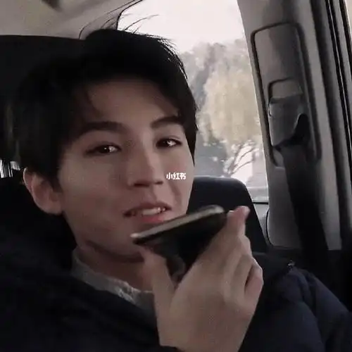 女友视角的王俊凯真的好爱啊呜呜呜